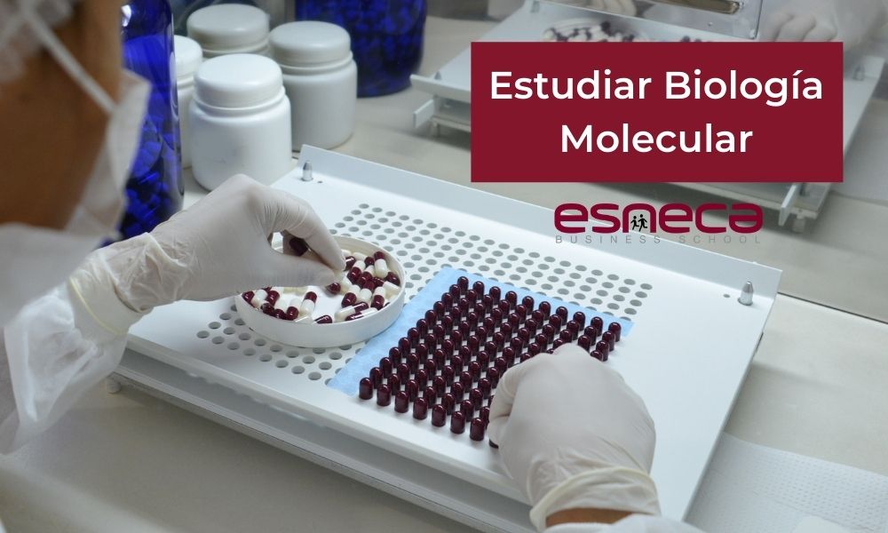¿Por qué estudiar una maestría en biología molecular?
