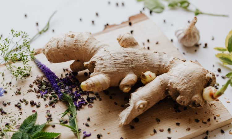 Cómo es la alimentación según la medicina tradicional china