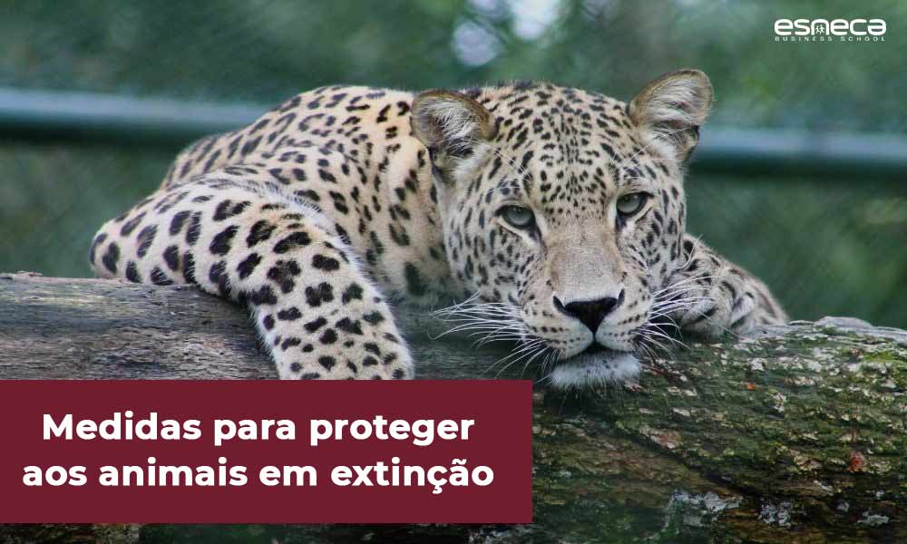 Medidas para proteger aos animais em extinção