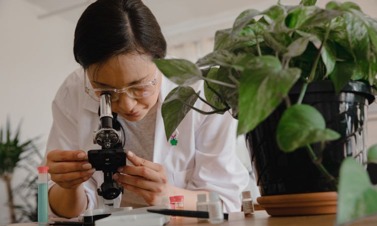 Citogenética: qué es y por qué es tan importante para entender nuestros genes