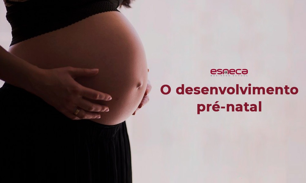 O que é o desenvolvimento pré-natal e quais são os seus estágios?