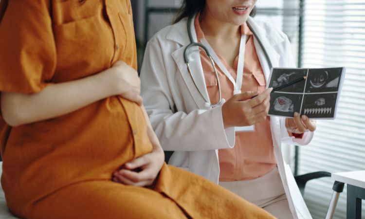 Factores que afectan el desarrollo prenatal: lo que debes saber