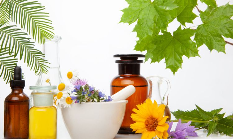 Flores de Bach: el equilibrio emocional que impulsa una nueva visión de la psicología holística