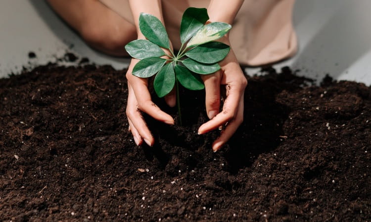 O que é o impacto ambiental e como é classificado?