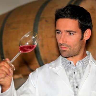 estudiar maestría en elaboración de vinos