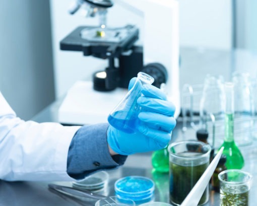 Estudiar maestría en microbiología y en análisis de muestras en laboratorio