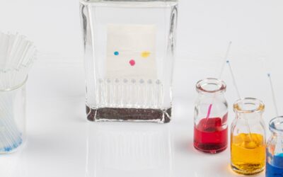 Conoce la maestría internacional en cromatografía