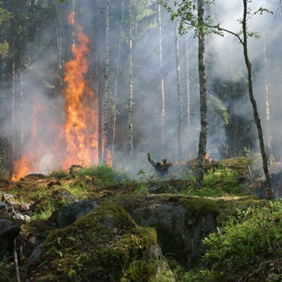 Estudiar maestría en investigación de incendios