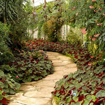 Estudiar maestría en jardinería