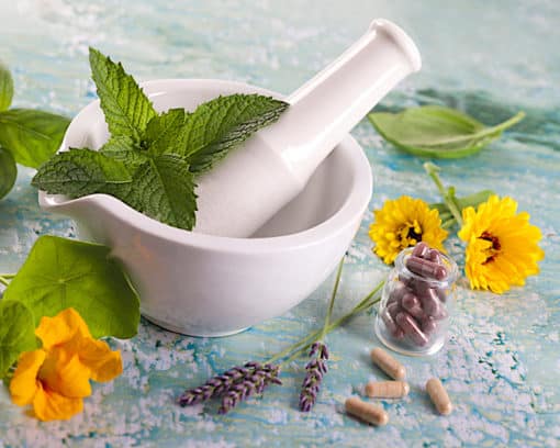 estudiar maestria en naturopatía en Esneca Business School Latinoamérica