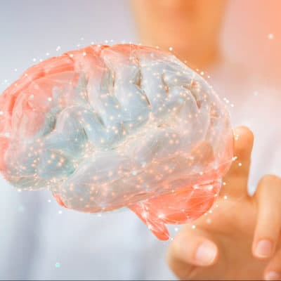 estudiar maestría neuropsicología y deterioros cognitivos en Esneca Business School latinoamérica