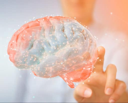 estudiar maestría neuropsicología y deterioros cognitivos en Esneca Business School latinoamérica