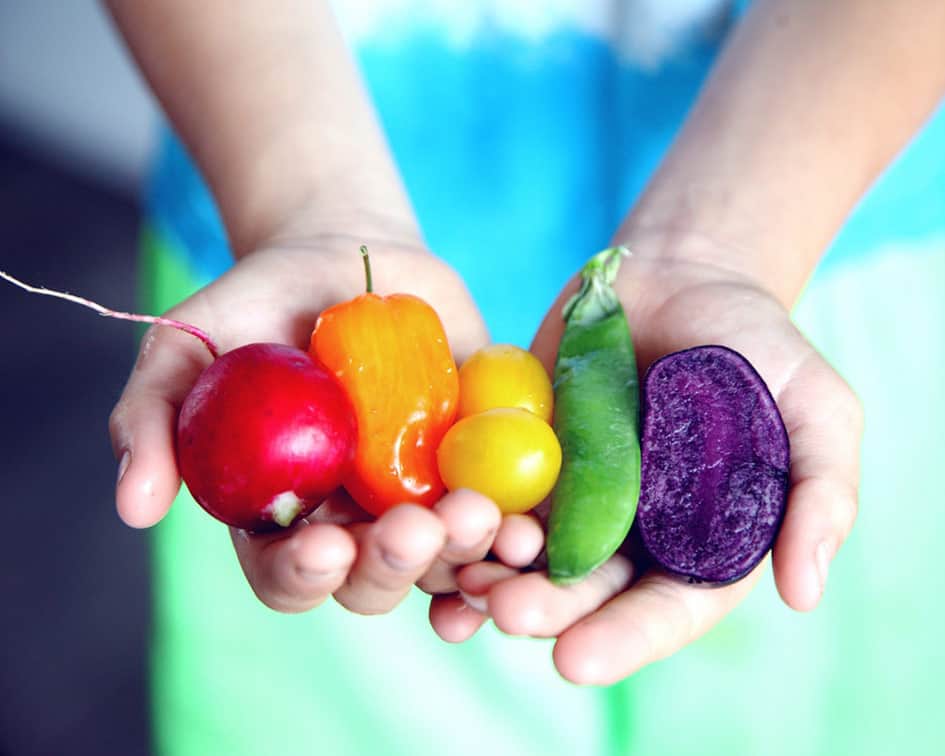 Estudiar maestría nutrición