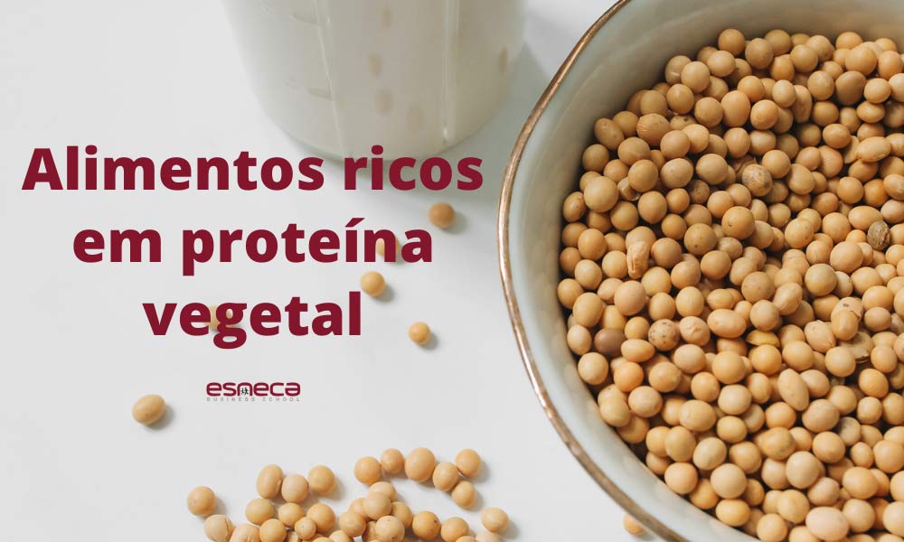 5 alimentos ricos em proteína vegetal que não podem faltar nas suas refeições