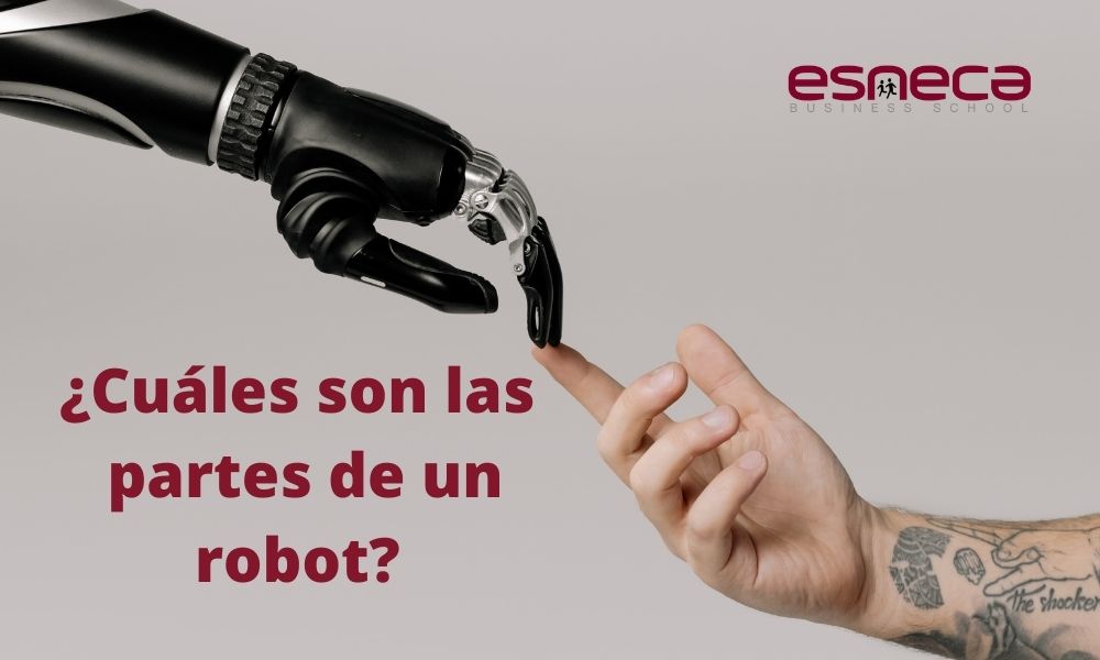 ¿Cuáles son las partes de un robot?